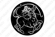 Horoscope Sagittarius Centaur Zodiac