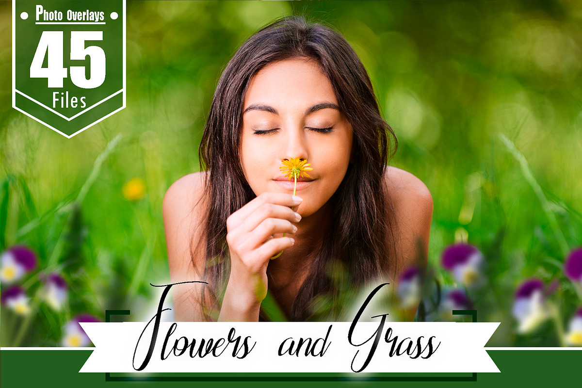 45 Grass and Flowers Photo Overlays in Add-Ons - product preview 8