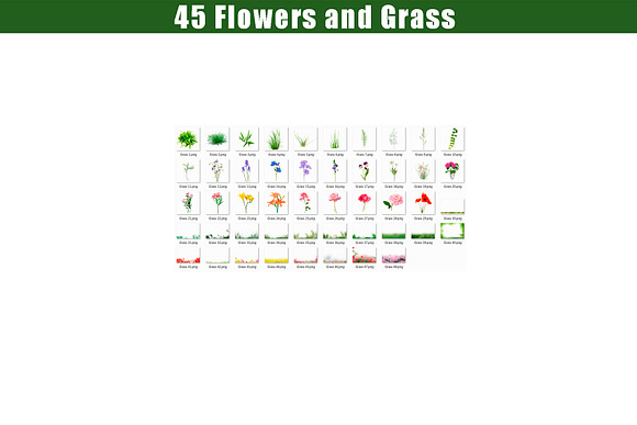 45 Grass and Flowers Photo Overlays in Add-Ons - product preview 3