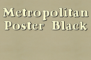 Metropolitan Poster Black