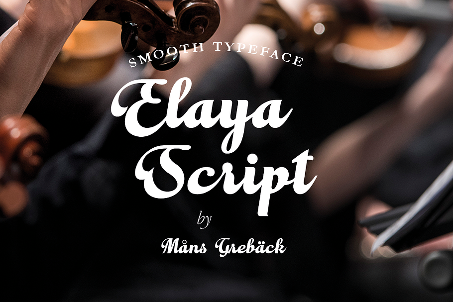 Elaya Script in Script Fonts - product preview 8