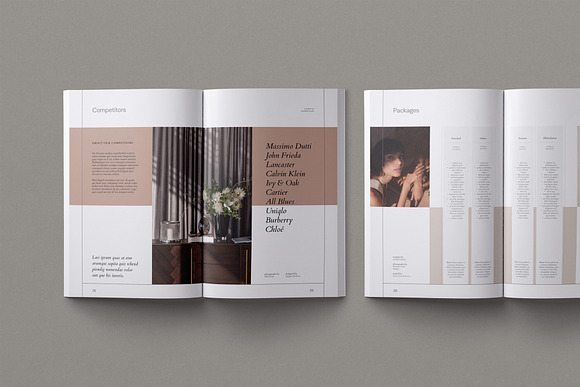 Inge Proposal in Brochure Templates - product preview 2