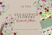 Eucalyptus flowers Watercolor png