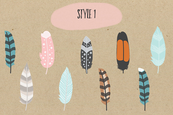 Bohemian Feathers Pack in Illustrations - product preview 1