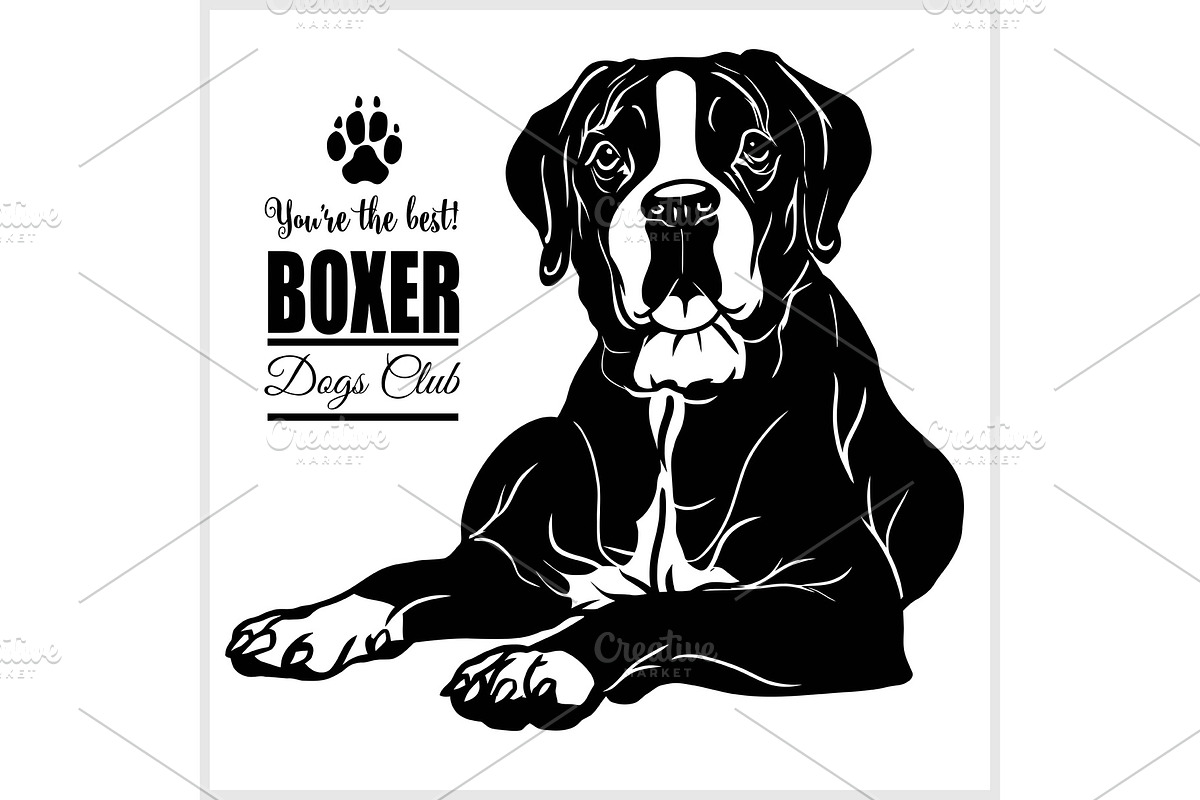 Boxer - vector illustration for t in Illustrations - product preview 8