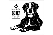 Boxer - vector illustration for t