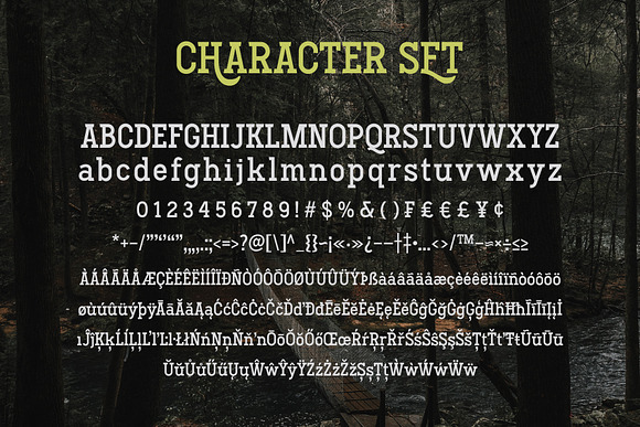 Hodgeson in Slab Serif Fonts - product preview 7