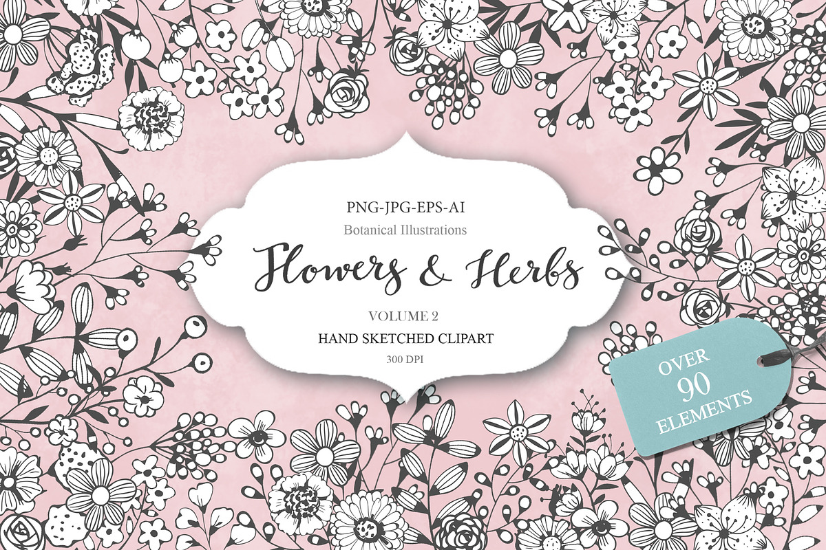 Flowers and Herbs Volume 2 in Illustrations - product preview 8