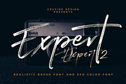 Expert Brush & SVG Font