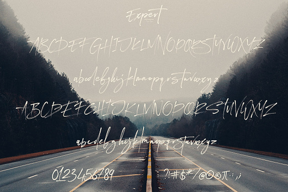 Expert Brush & SVG Font in Script Fonts - product preview 8