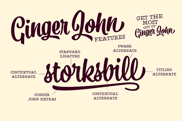 Ginger John Brush Script Family in Script Fonts - product preview 5