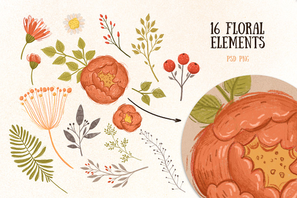 Cute animals and floral elements in Illustrations - product preview 2