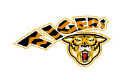 Tiger sports mascot head front