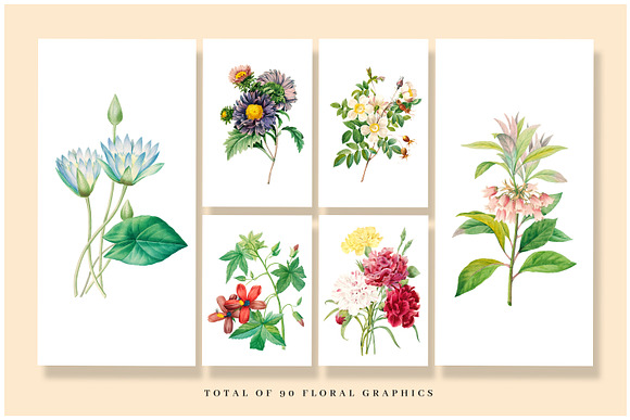 Colorful Flowers Graphics Bundle in Illustrations - product preview 3