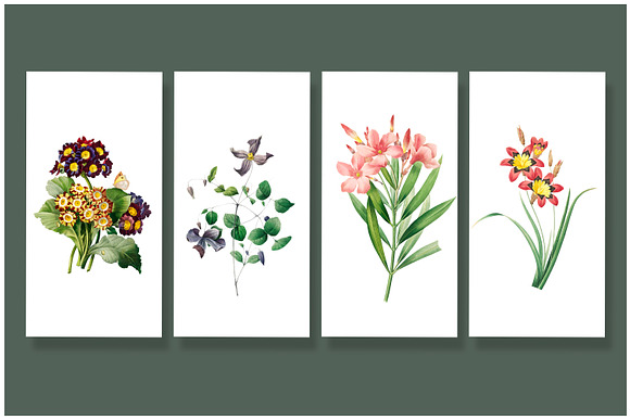 Colorful Flowers Graphics Bundle in Illustrations - product preview 11