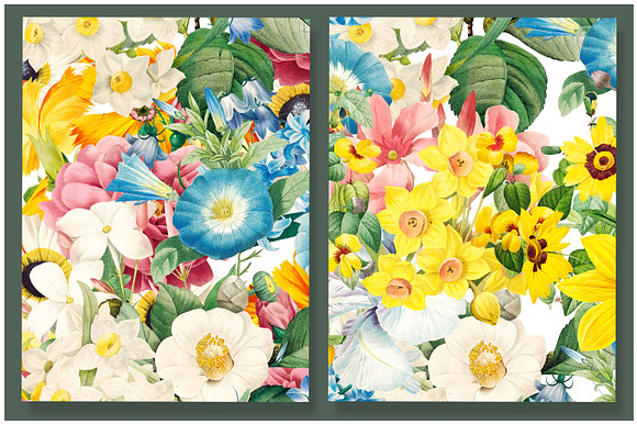 Colorful Flowers Graphics Bundle in Illustrations - product preview 16