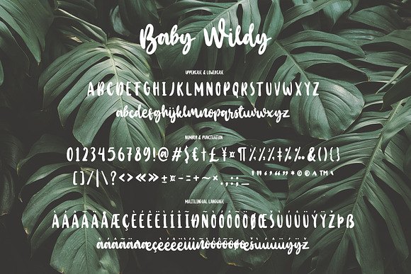 Baby Wildy in Script Fonts - product preview 4