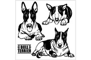 Bull Terrier - vector illustration