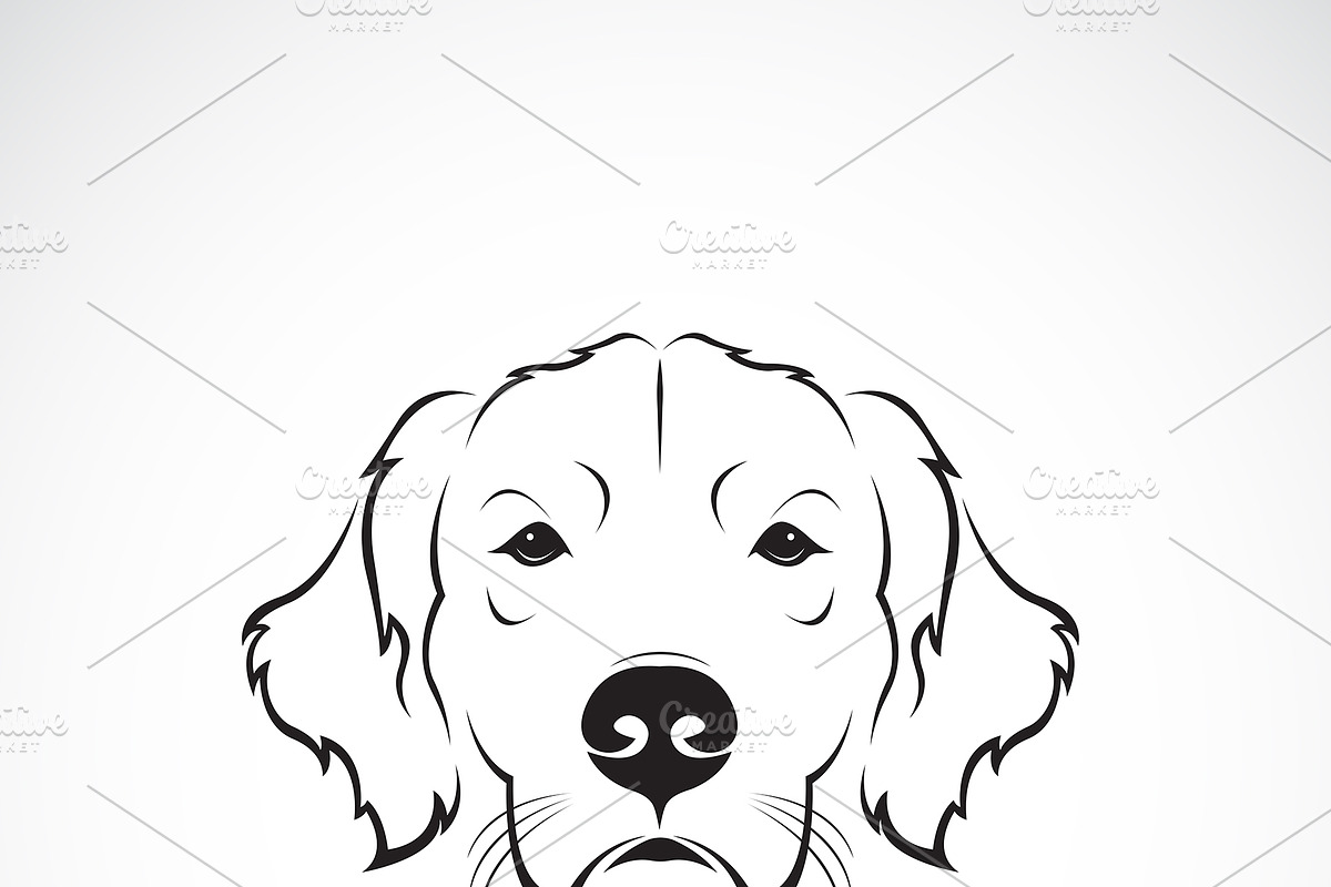 Vector of dog head. Pet. Animal. in Icons - product preview 8