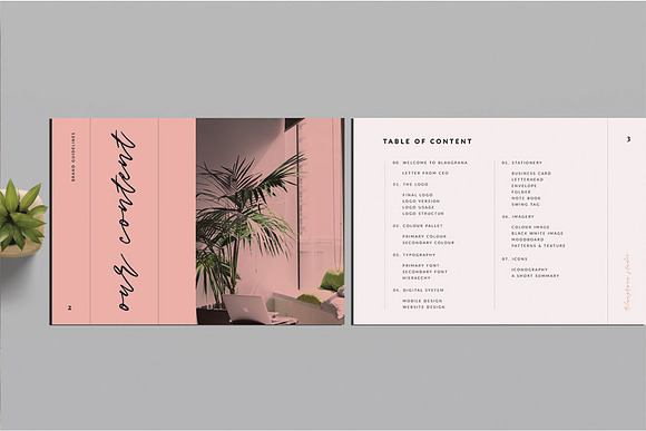 Brand Guidelines in Brochure Templates - product preview 1