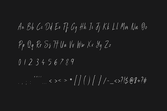 Magnetta - Handwritten Luxury Font in Script Fonts - product preview 6