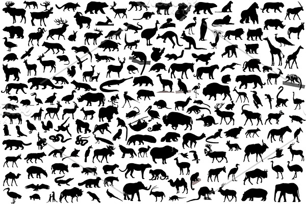 190 wild animals