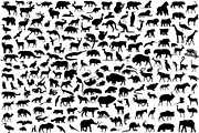 190 wild animals
