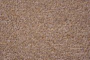 Light brown carpet texture