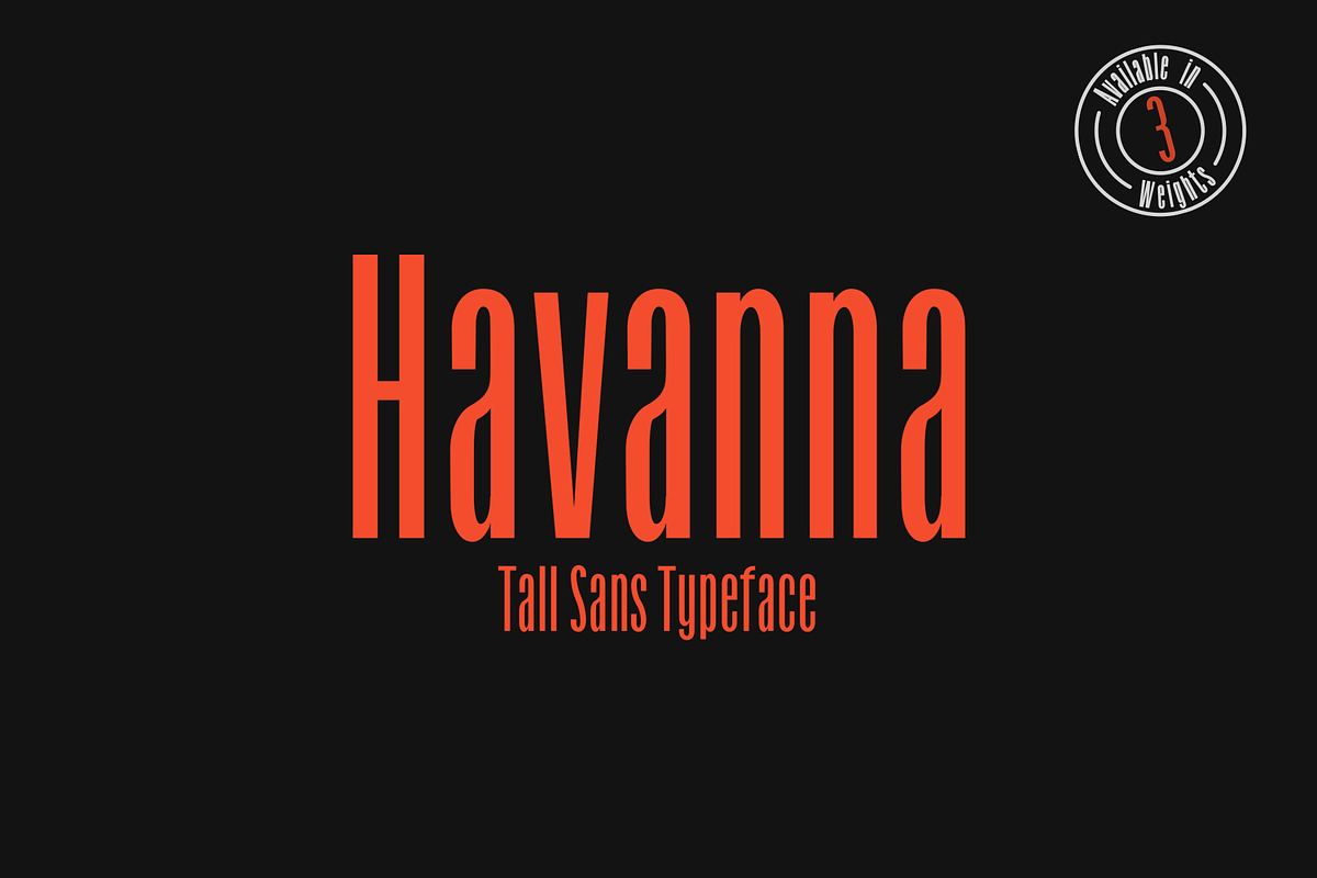 Havanna - Tall Sans in 3 weights in Sans-Serif Fonts - product preview 8