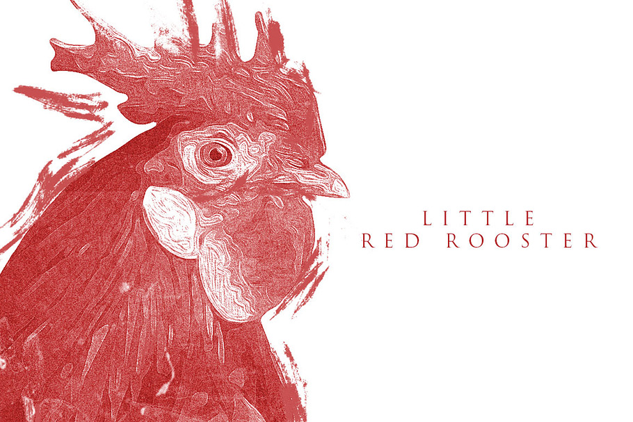 Little Red Rooster Illustration