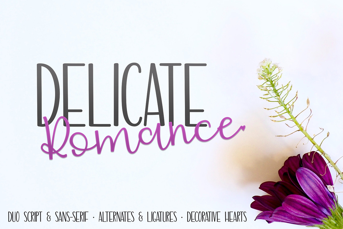 Delicate Romance Font Duo in Script Fonts - product preview 8