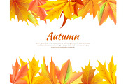 Autumn Background with Leaves at Top