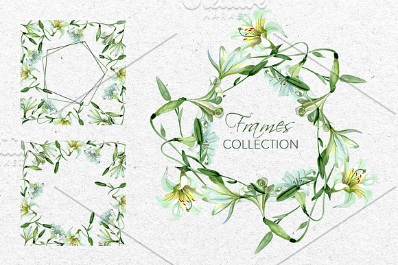 White Lily Watercolor png in Illustrations - product preview 1