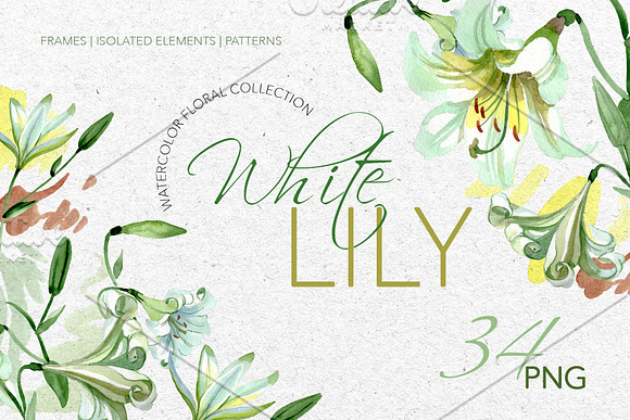 White Lily Watercolor png in Illustrations - product preview 2