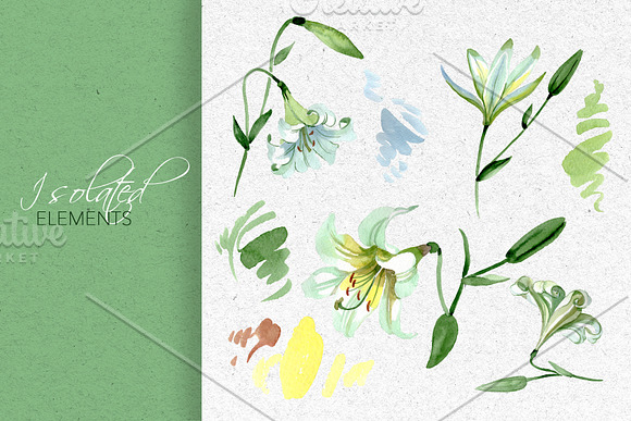 White Lily Watercolor png in Illustrations - product preview 5