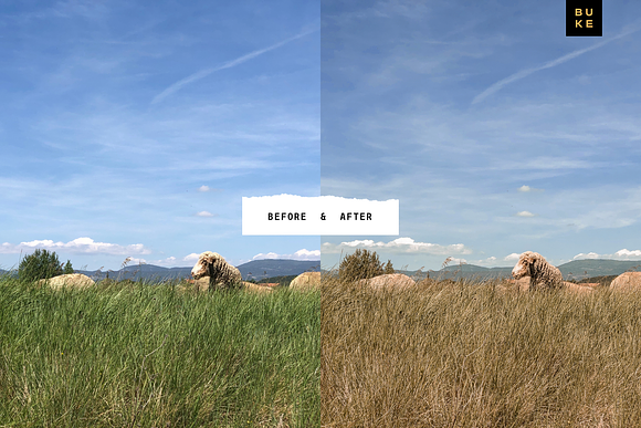 8 Pastel Lightroom Presets Bundle in Add-Ons - product preview 5
