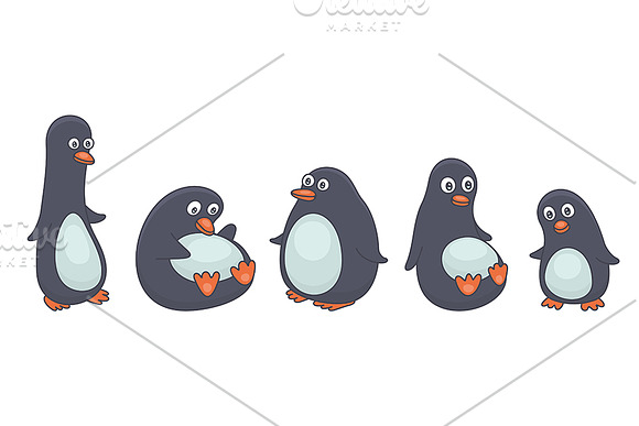 Set of Penguins + Pattern in Illustrations - product preview 2