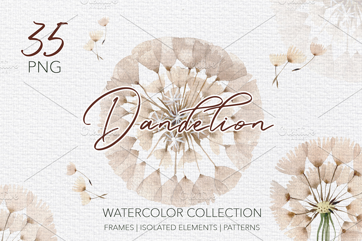 Summer dandelion collection in Illustrations - product preview 8