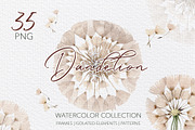 Summer dandelion collection