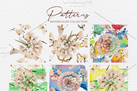 Summer dandelion collection in Illustrations - product preview 2