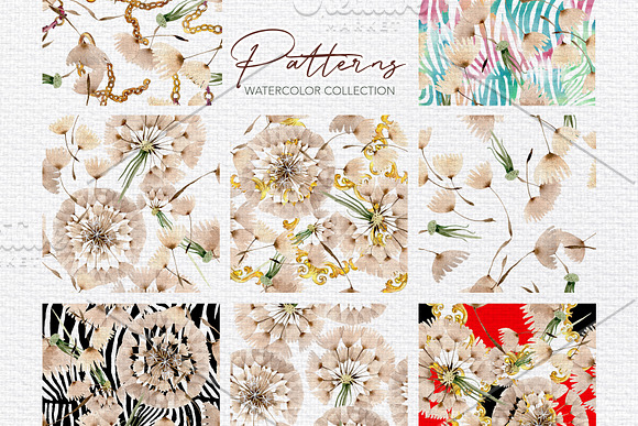Summer dandelion collection in Illustrations - product preview 5