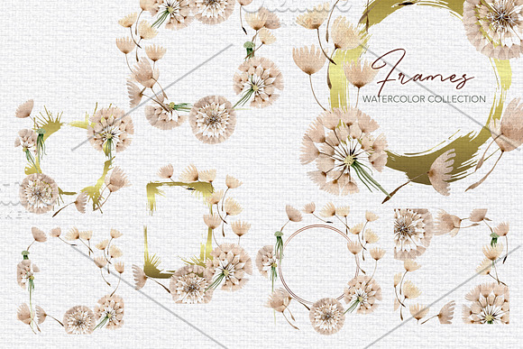 Summer dandelion collection in Illustrations - product preview 6