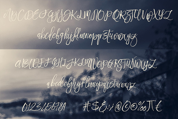 Fresh Brush & SVG Font in Script Fonts - product preview 6