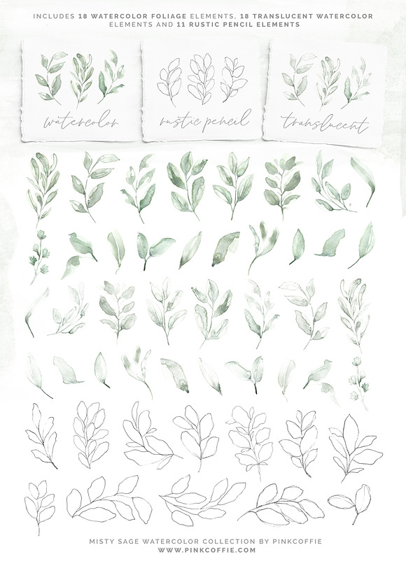 Misty Sage Watercolor & Pencil Kit in Illustrations - product preview 5