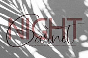 Garnet Night Font Duo