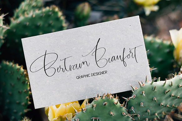 Garnet Night Font Duo in Script Fonts - product preview 5