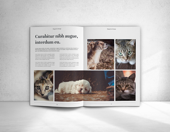 The Magazine in Magazine Templates - product preview 19