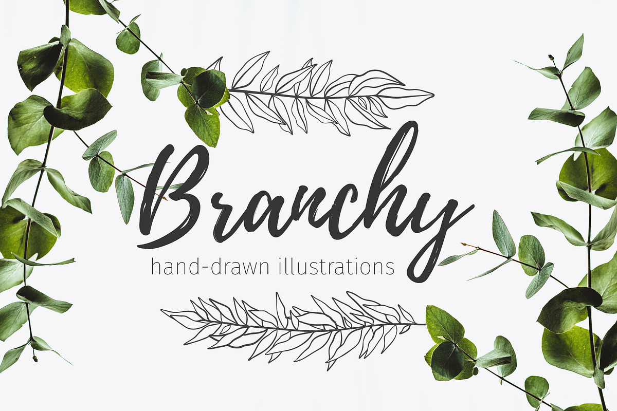52 hand drawn branches in Objects - product preview 8