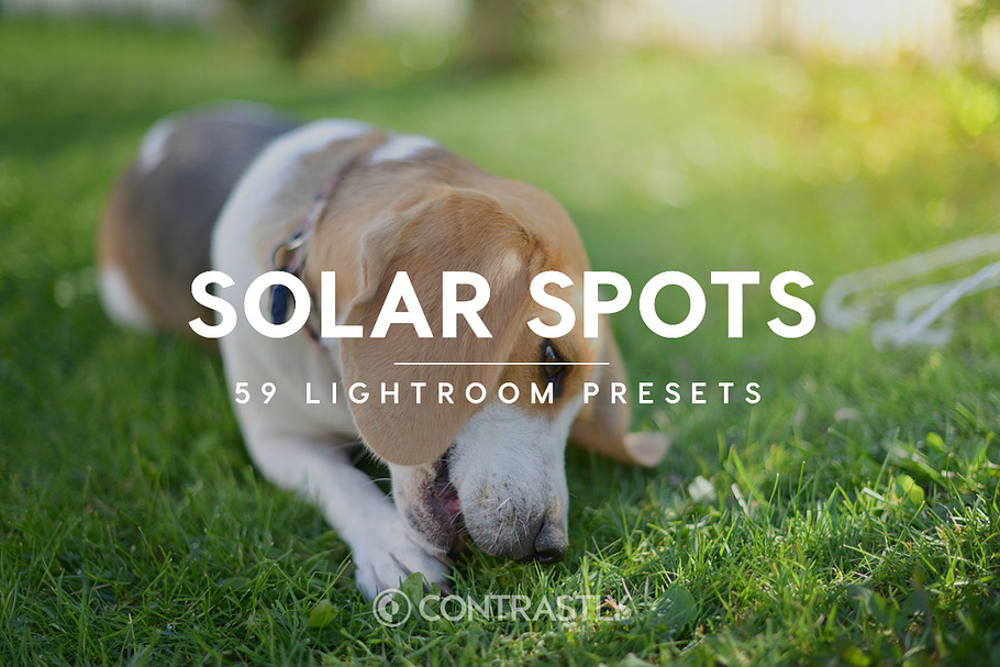 Solar Spots Lightroom Presets in Photoshop Plugins - product preview 8
