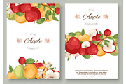 Apples fruit collection set of